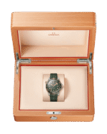 Seamaster Diver 300M Co‑Axial Master Chronometer 42mm Titanium 210.92.42.20.10.001 - 图片 3